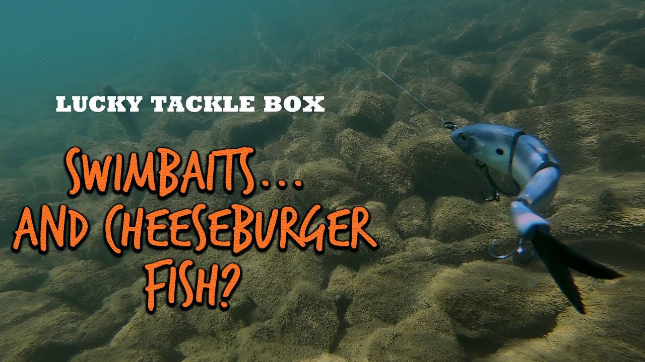 BEST Strategies for Swimbait Bass