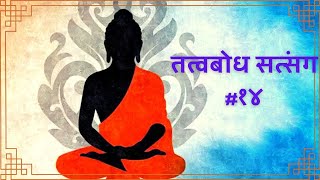 सत्संग #१४: देवी,माया,शक्ति,कर्म,अहम्,विचार, अध्यात्म और इंटरनेट,ज्ञानमार्ग,गीता पाठ,पूजा,भक्तिमार्ग