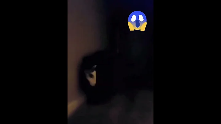 CATzilla #funny #shorts #shortsvideo #cat #cats