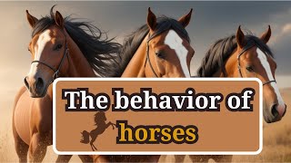 Understanding the Language of Horses: A Guide to Horse Behavior