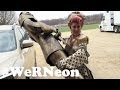 #WeRNeon Ep. 4: Neon & The Knight