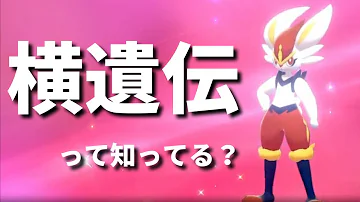たまごわざ