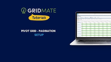 Pivot Grid - Pagination