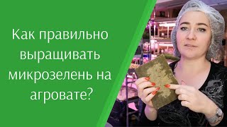 Как правильно выращивать #микрозелень на агровате? Выращиваем на агровате. Подготовка агроваты.