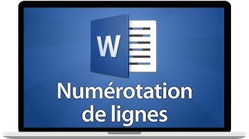 Tutoriel Word 2016 - Ajouter une numérotation de lignes