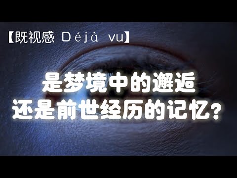 【既视感 Déjà vu】：似曾相识的感觉？是梦境中的邂逅？是前世经历的记忆？还是平行宇宙另一个你的记忆？