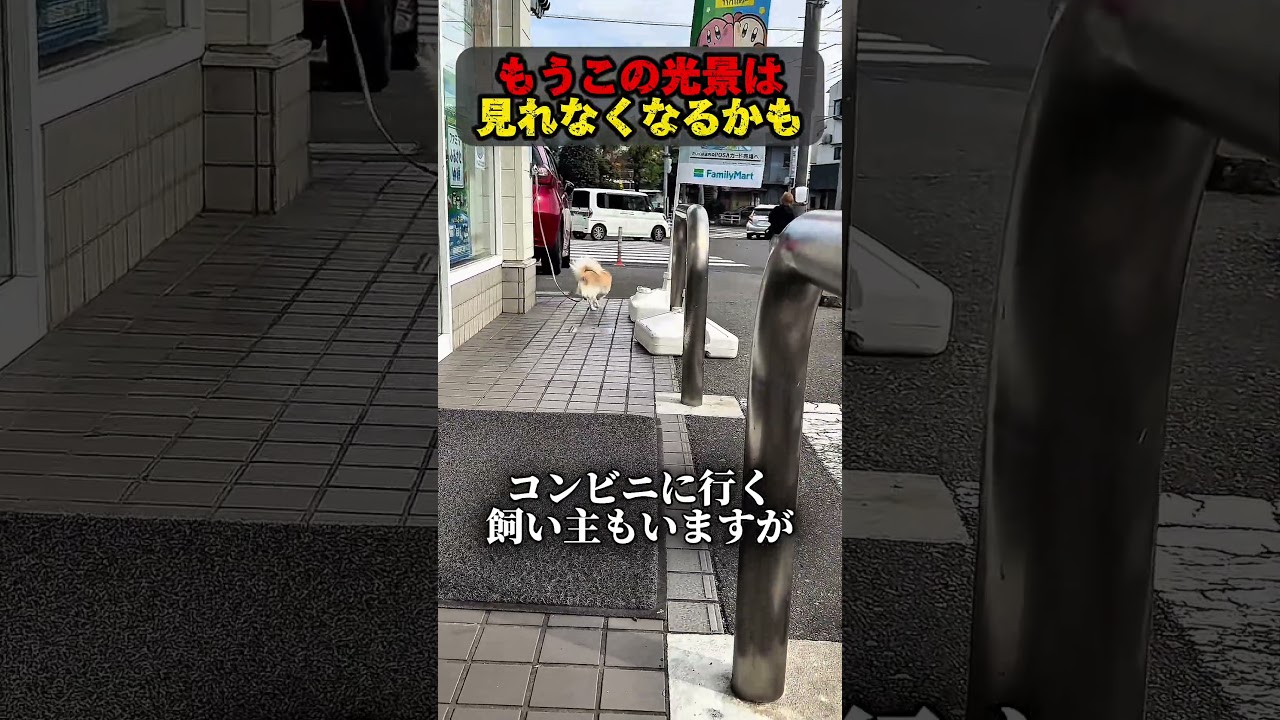コンビニの前に犬をリードで繋ぐことすらもうできなくなるかも