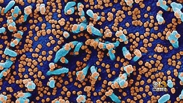 Health Experts Predict More COVID-19 Variants Will Emerge In Coming Months