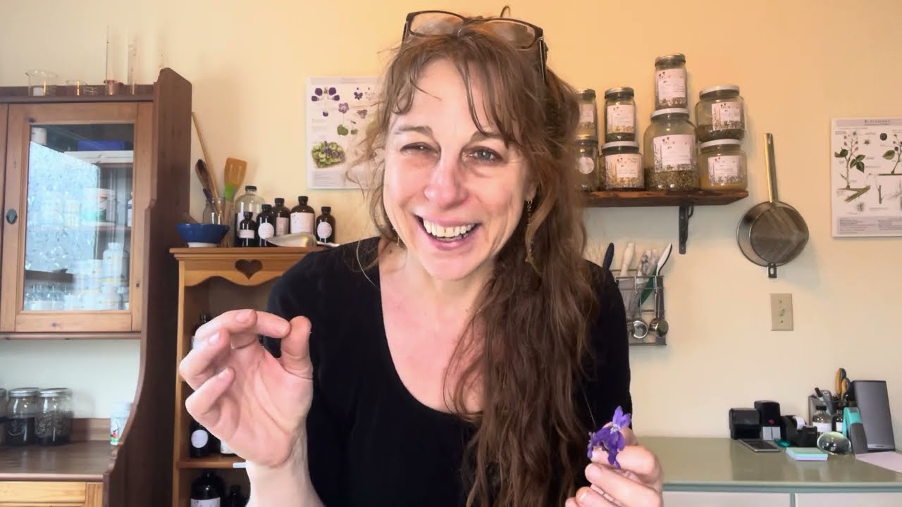 Medicinal Uses of Violet