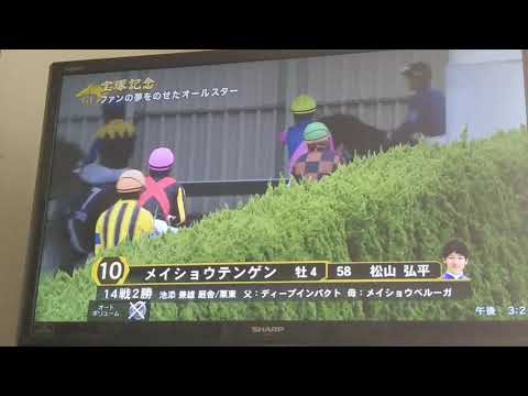 小説家が本馬場入場を喋ってみた 6/28 阪神11R 宝塚記念(GⅠ)
