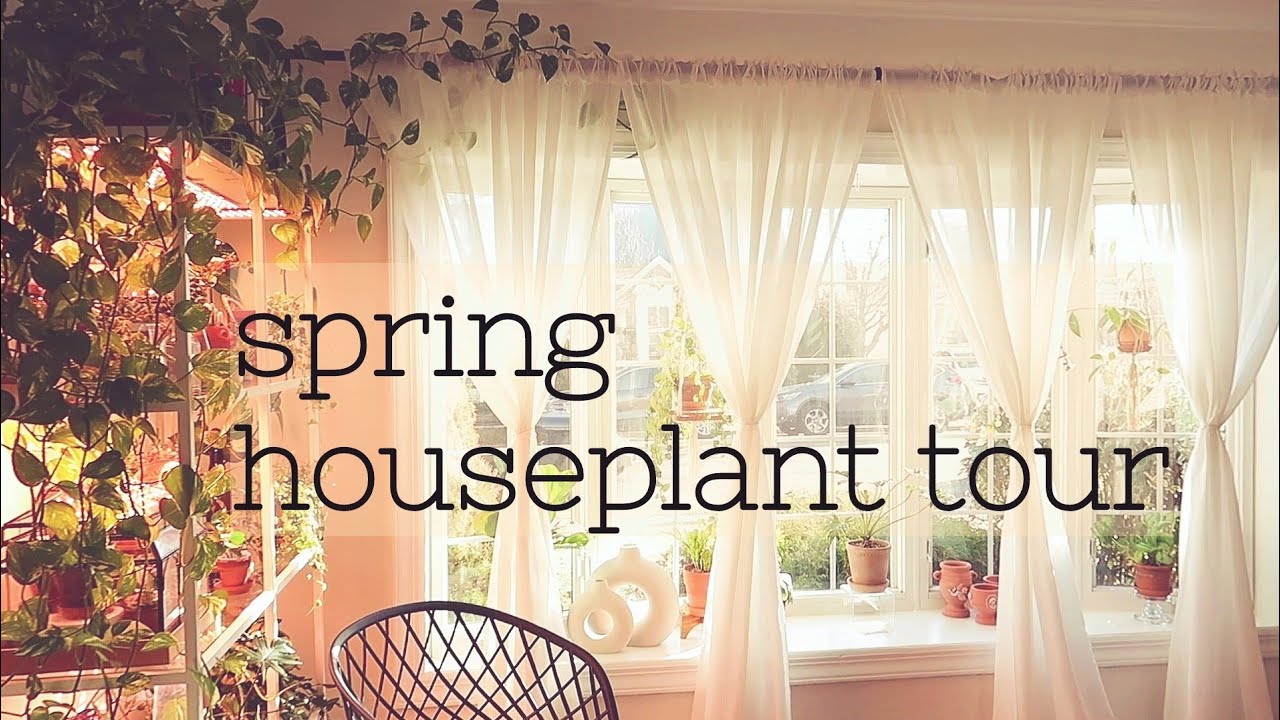 Spring Houseplant Collection Tour