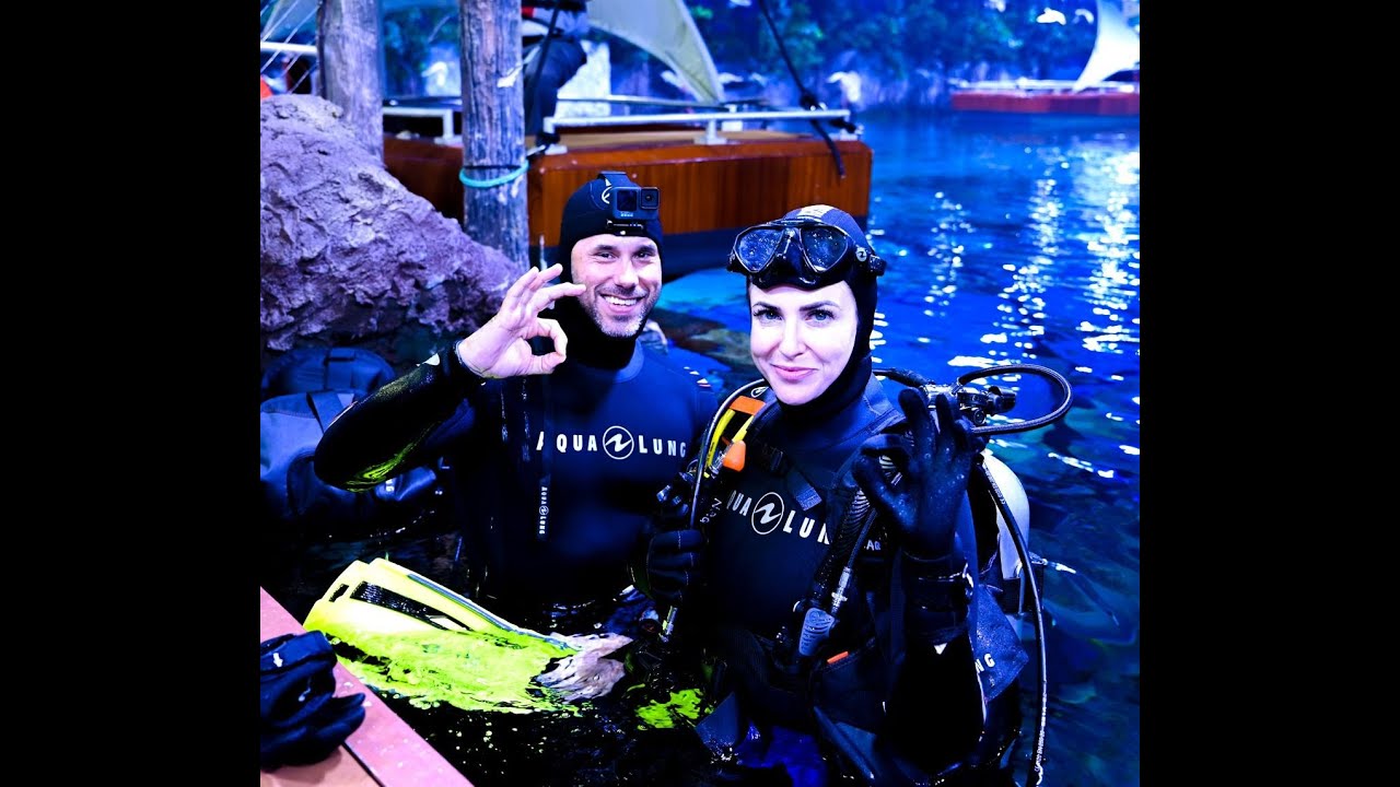 Swimming with sharks at The National Aquarium in Abu Dhabi
