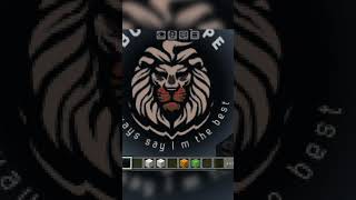 building your pfp.speed infinite flash.minecraft