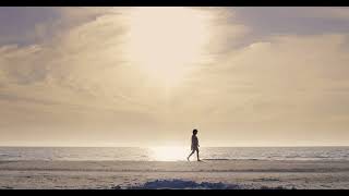 Alone man walking on beach - Copyright Free Video