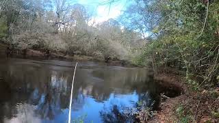 Lynches River in South Carolina is BEAUTIFUL!!❤ Known for big red breast bream