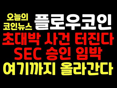 플로우코인 초대박 사건 터진다 SEC 승인 임박 여기까지 올라간다 