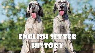 Podcast 140: English Setter History | The making of one of the oldest gun dog breeds