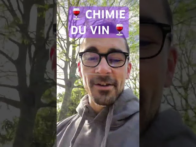 🍷 Chimie du vin 🍷 envoyez-moi vos questions ! ￼