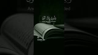 قل إني أمرت أن أعبد الله #القرآن_الكريم #القرآن #القران_الكريم #قرآن #آيات #shortvideo #follow