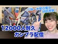 【ガンプラ配信】12000人耐久RGストライクフリーダムつくる!→17時からは『水星の魔女』9話同時視聴!