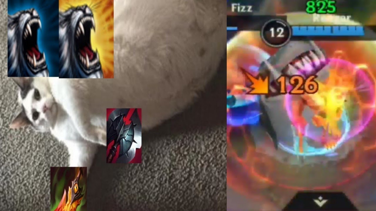 fat cat rengar - YouTube