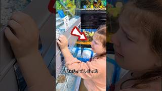 ペットの鳥を思いがけない場所で見つけました！