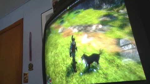fable 2-the pooch pamperer/the archaeologist