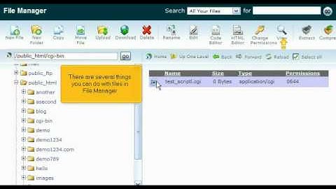 WebHosting Break Presents: Using File Manager in cPanel