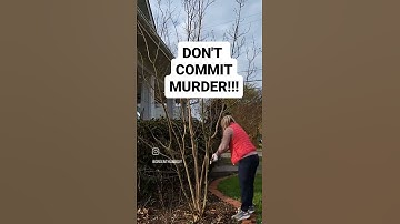 Prune Crape Myrtles Without Murdering Them Please #greenthumb #creativegarden