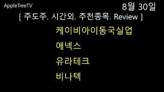 8월 30일[주도주 시간외 추천종목Review] 케이비아이동국실업/ 유라테크/비나텍/ 에넥스
