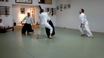 1st Kyu Test - Michael S. - Randori