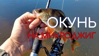 видео: СТОЛЬКО ОКУНЯ Я ЕЩЕ НЕ ЛОВИЛ | ВОТ ЭТО РЫБАЛКА | МИКРОДЖИГ НА НЕБОЛЬШОМ ПРУДУ - Рыбалка со stigan'ом картинка: СТОЛЬКО ОКУНЯ Я ЕЩЕ НЕ ЛОВИЛ | ВОТ ЭТО РЫБАЛКА | МИКРОДЖИГ НА НЕБОЛЬШОМ ПРУДУ - Рыбалка со stigan'ом