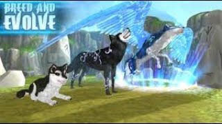 Wolf The Evolution! Episode 2! (As requested by Rose Fox. 👍)