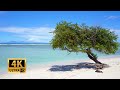 4K Tropical Beach - Relaxing Sea/ Ocean Wave Sounds & Ultra HD Nature Video - Meditate/ Yoga/ Sleep