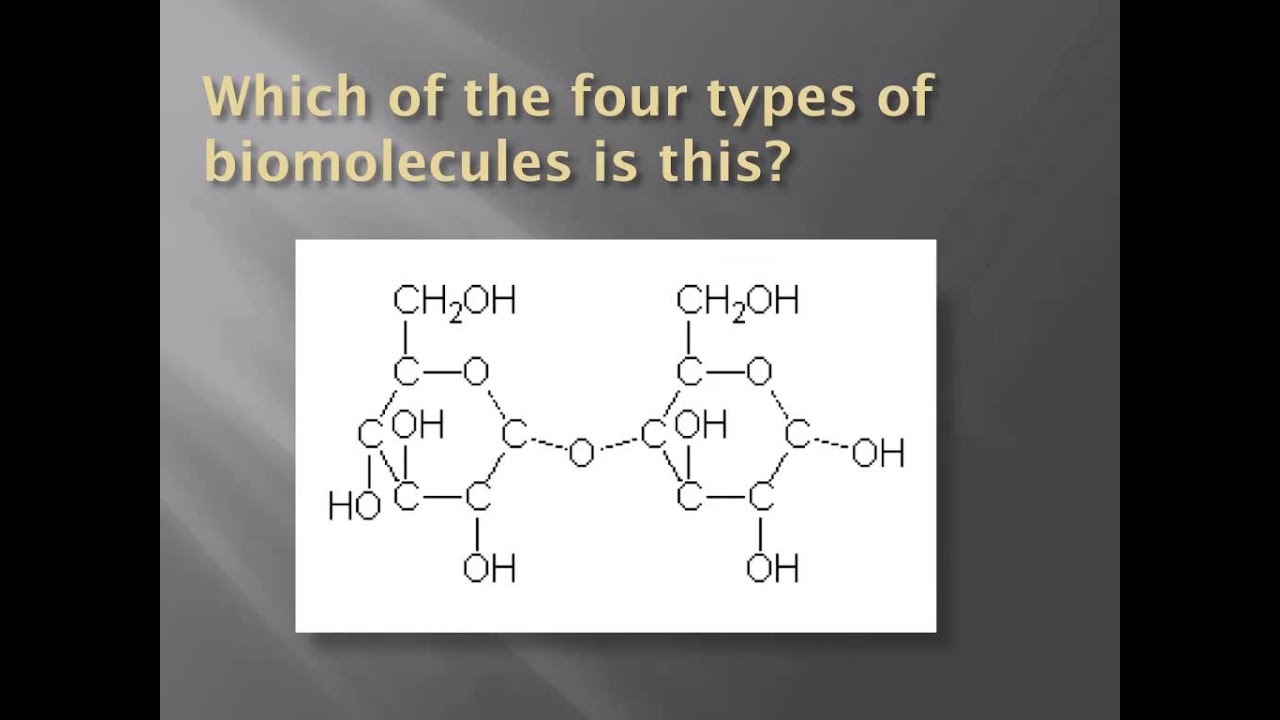 Carbohydrates Lipids Proteins Nucleic Acids Chart