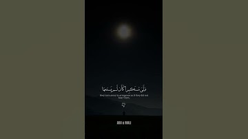 القرئ ياسر الدوسري#المصحف #الرحمن #لايك #لايك #اكسبلور #اللهم_صل_وسلم_على_نبينا_محمد #قرآن #القارئ #