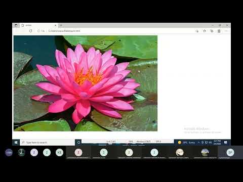 wt # 6 | Title attribute | html title attribute