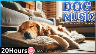 20 Hours of Calming Dog MusicDog Anti Separation Anxiety Relief Music Relaxation music for dogs