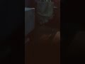 Маша Кондратенко Білі ночі