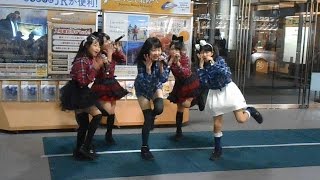アミーガス 戦いの合図 福井駅ライブ 20150116