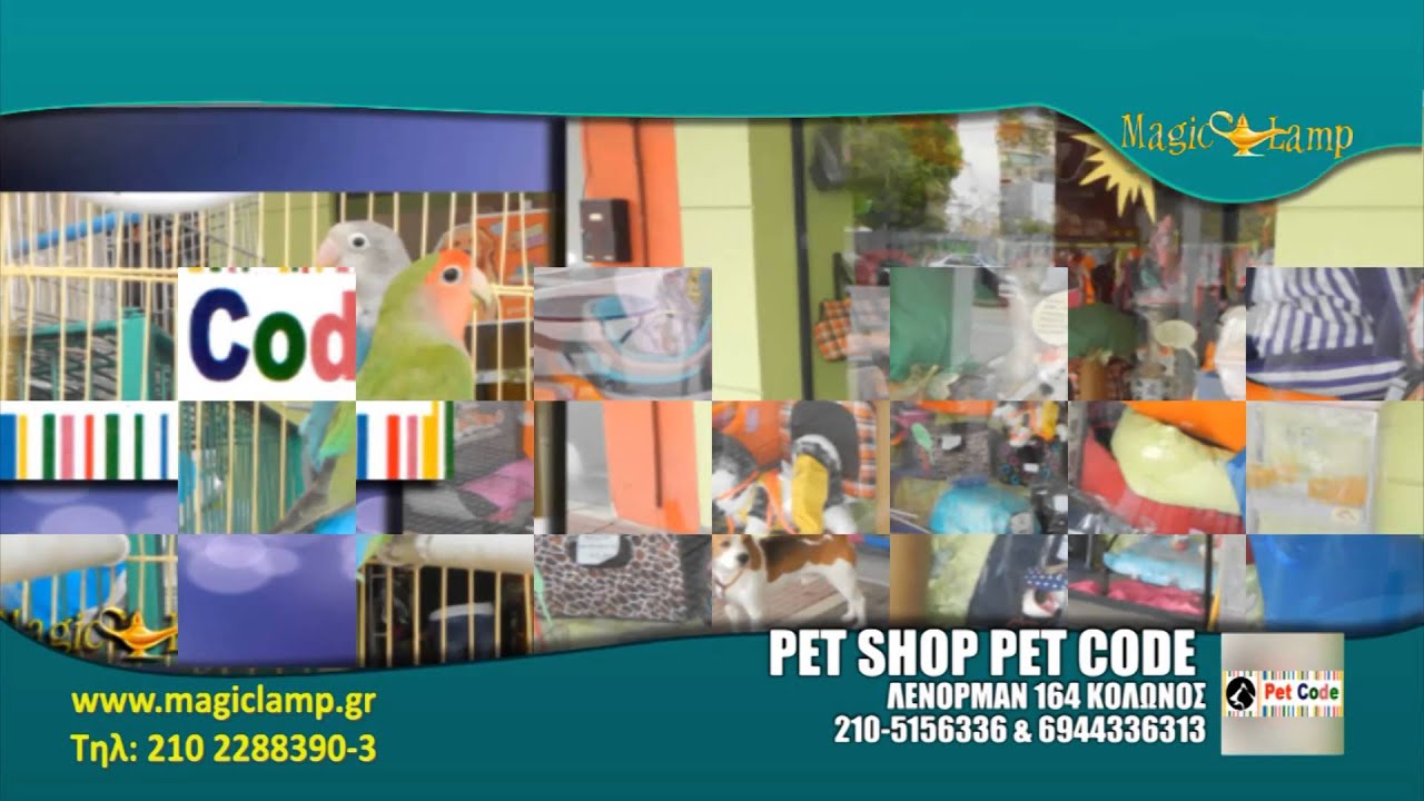 pet-code-pet-shop