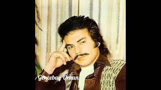 Beni De Allah Yarattı 🎵 - Orhan Gencebay 🎶