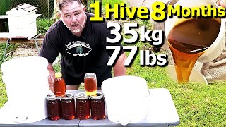How to Grow a TON of HONEY with ONE Beehive in Just 8 Months! by Self Sufficient Me 207,286 views 1 month ago 13 minutes, 37 seconds