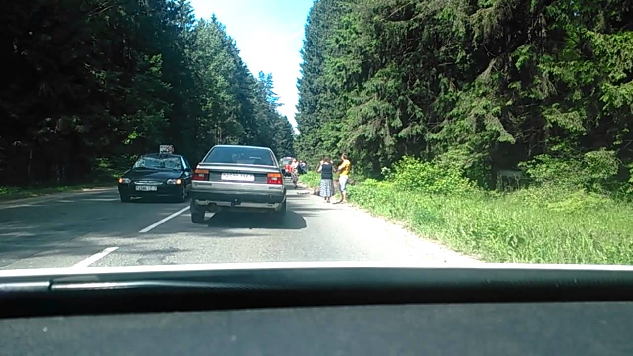 Минск. Уручье. 2014-06-08. Сбили лося