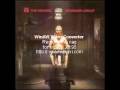 Michael Schenker Group - Into the Arena