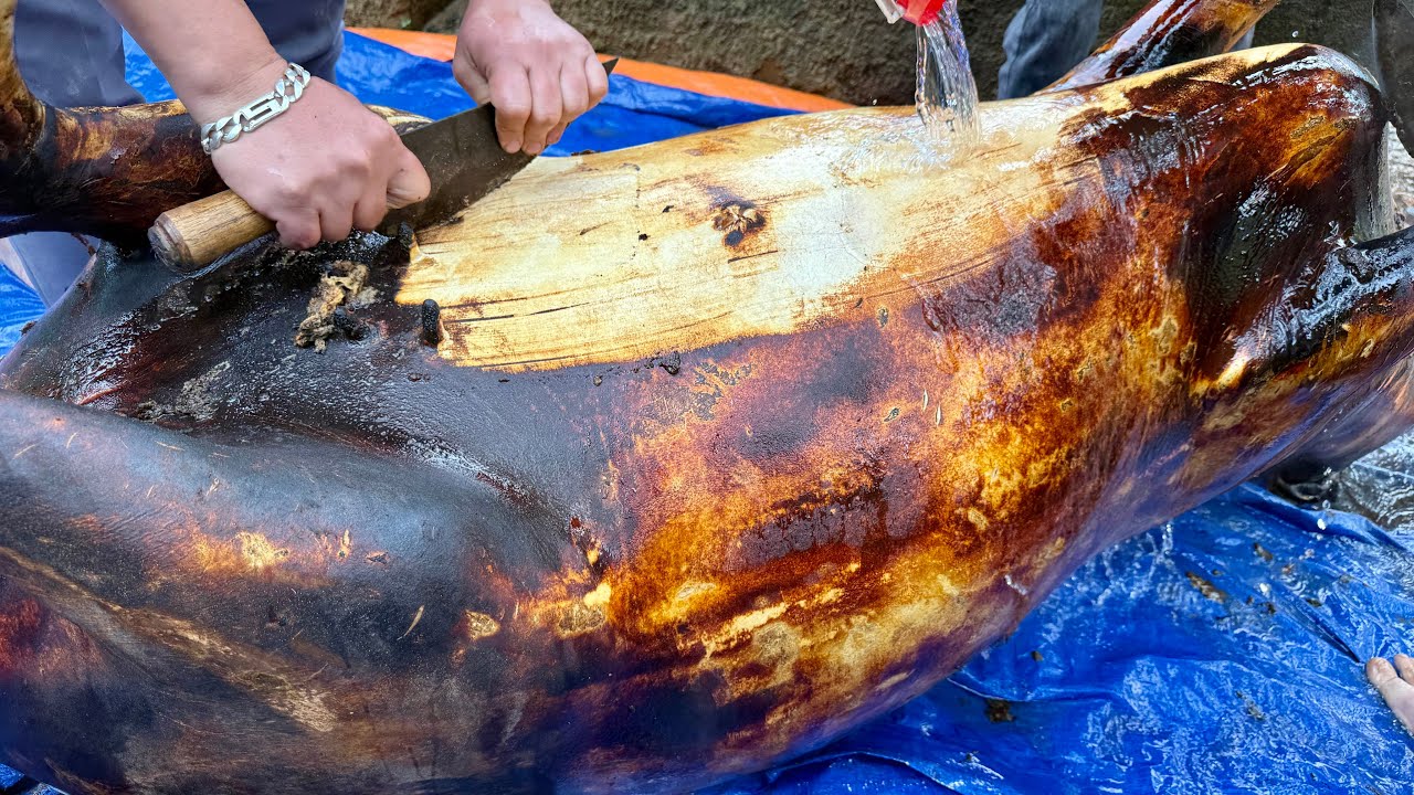 SAPA TV | CẢ LÀNG THỊT TRÂU LÀM LỄ CÚNG TRỜI VÀ CÁC MÓN ĂN NGON CÓ TRONG NGÀY LỄ CỦA NGƯỜI NÙNG