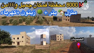 فيرمة محفظة من مساحة 8000 متر فيها منزل والبير والشاطو وأشجار الزيتون والتين والخروب 