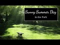 Relaxing Sounds of Nature - Sunny Summer Day in the Park