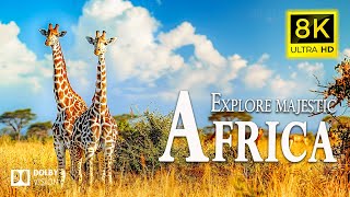 EXPLORE MAJESTIC AFRICA🐾Movies to relax and admire wild nature | Relaxing Piano Music ( Animal Life)