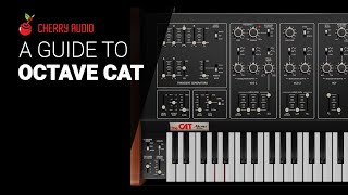 A deep dive to Octave Cat from Cherry audio